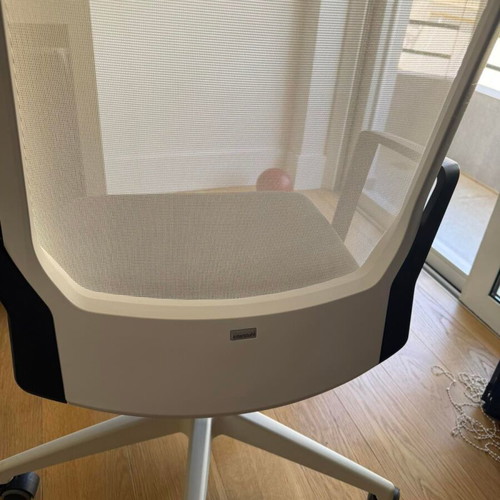 Interstuhl professional office chair with mesh back