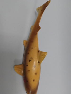 Shark like new in excellent condition