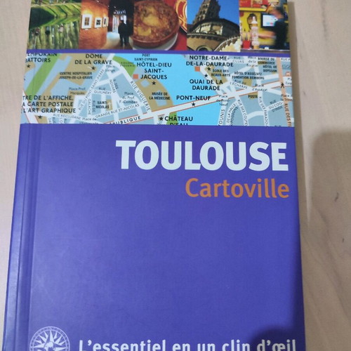 Toulouse travel guide in French