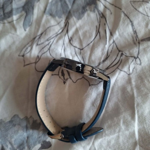 Men's wristwatch, blue strap