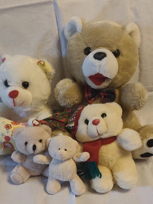 Set of 5 teddy bears like new