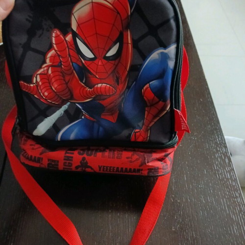 Insulated lunch bag like new