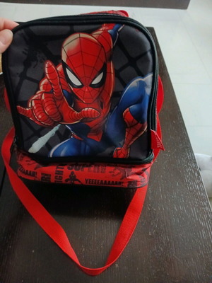 Insulated lunch bag like new
