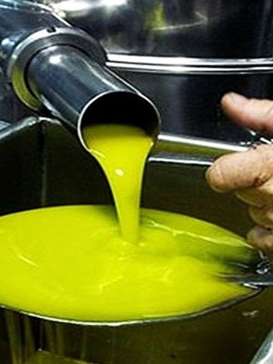 Ελαιόλαδο Λακωνίας φρέσκο εσοδειάς 2025, πακέτο 20 λίτρα