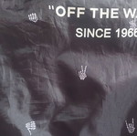 Vans backpack like new, lightweight black