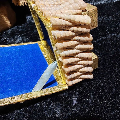 Vintage jewelry box with natural sea shells and royal velvet