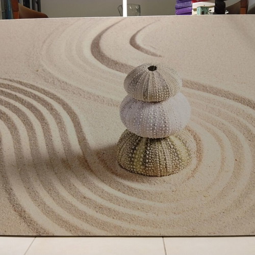 Πίνακας σε καμβά Zen Garden & Αχινοί σαν καινούργιος, μινιμαλιστική διακόσμηση