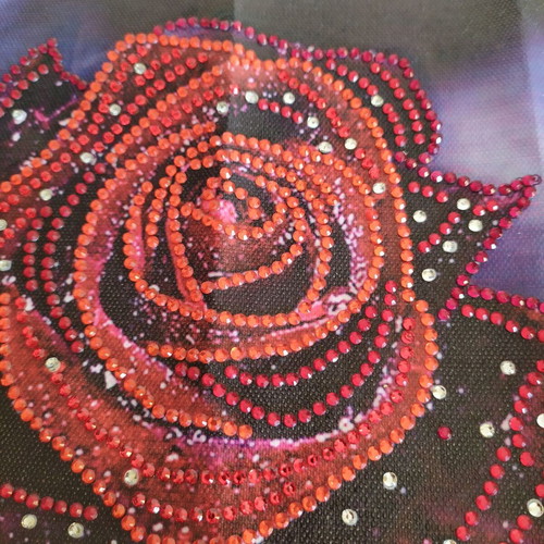 Rose diamond painting canvas new 20x20 without frame
