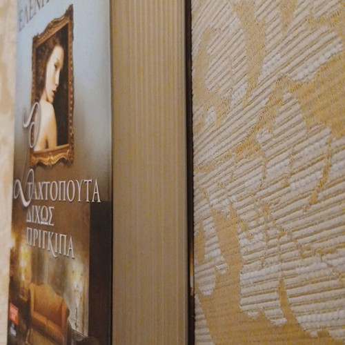 Cinderella Without a Prince by Eleni Vaina like new