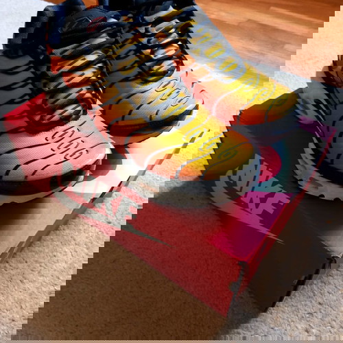 Nike TN Air Max Plus Sunset size 45 like new