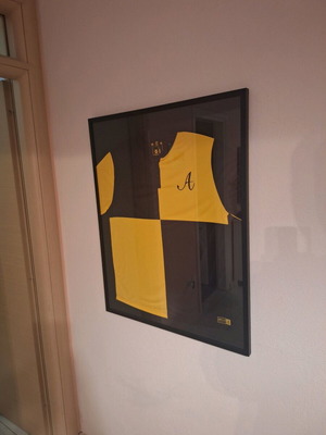 Aris Collectible Jersey in Frame new, authentic