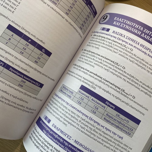 Economics Textbooks for Grade 12 Like New, Two Volumes