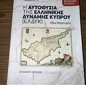 Η Αυτοθυσία της Ελληνικής Δύναμης Κύπρου (ΕΛΔΥΚ), Μια Μαρτυρία