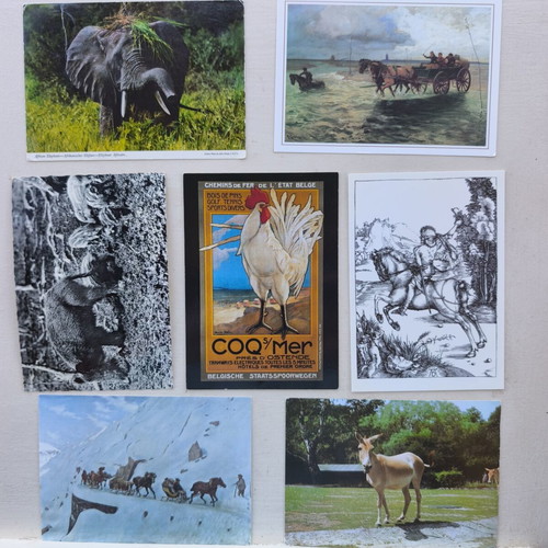 Album A4 16 pages like new with multinational animal stamp collection