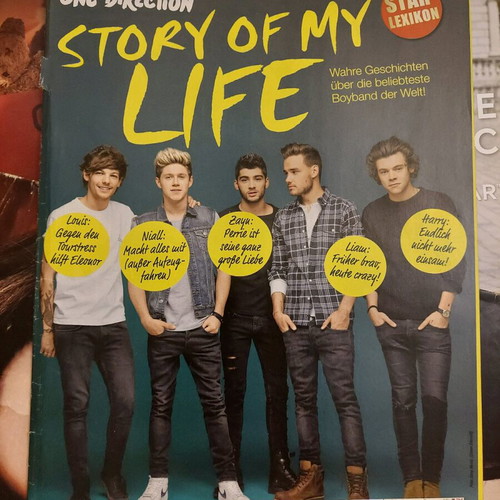 Mini Magazine One Direction 'Story Of My Life' used
