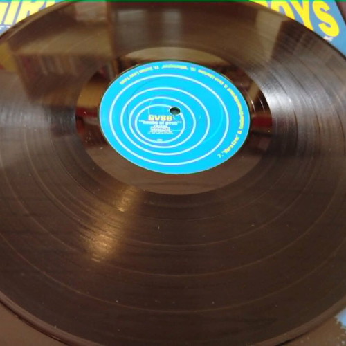 Girls Against Boys House of GVSB vinyl album with 7''