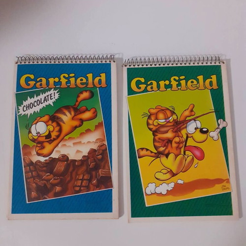 Garfield notebooks new, set of two