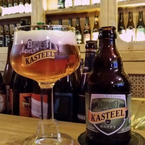 Ritzenhoff Cristal Kasteel beer glass pair new 500 ml