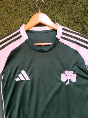 Panathinaikos 25/26 jersey size L Tetê #10