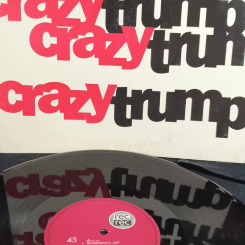 Crazy Trump record used, good condition