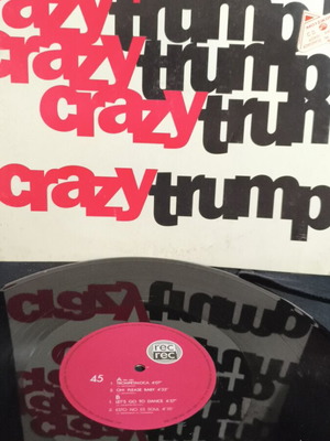 Crazy Trump record used, good condition