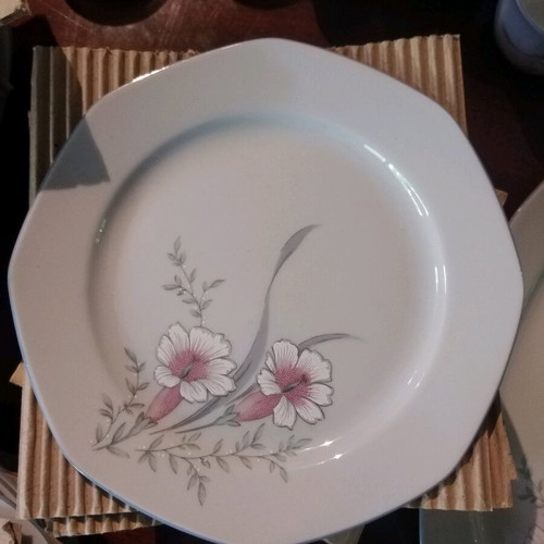 Bavarian porcelain dinnerware set new, 70 pieces