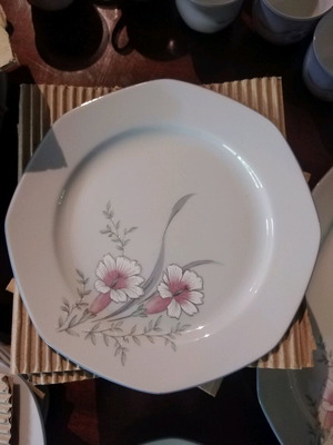 Bavarian porcelain dinnerware set new, 70 pieces