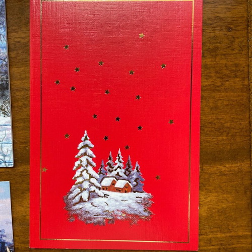 Christmas cards new, pack of 8 from mouth and foot painting group