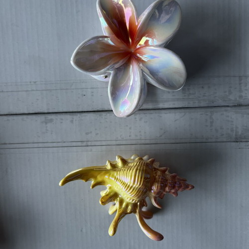 Hair clips new set