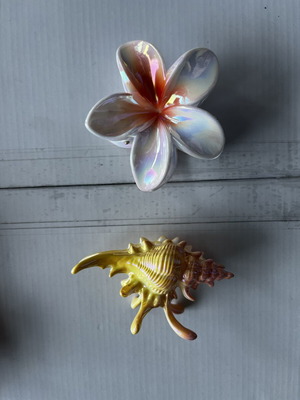 Hair clips new set