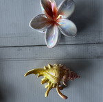 Hair clips new set