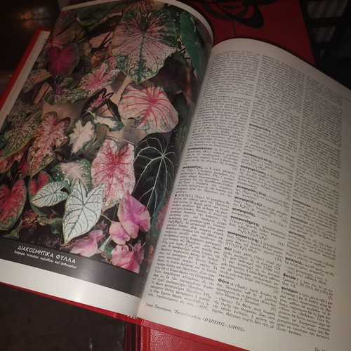 Papyrus Larousse Encyclopedia complete, like new, 38 volumes