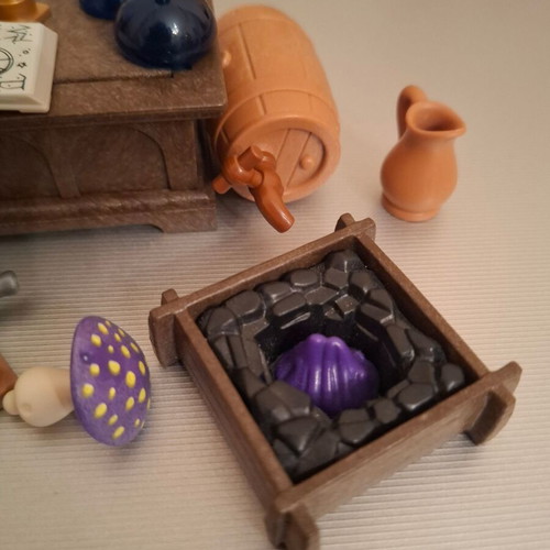 Playmobil Novelmore mage druid accessories set