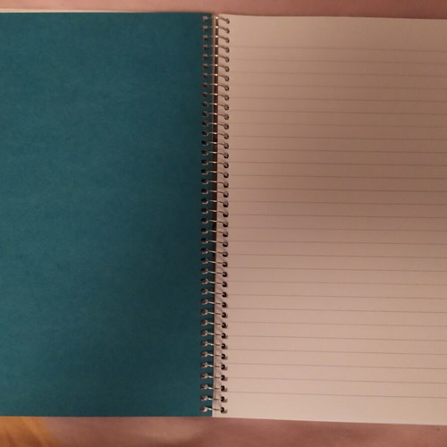 Globus Spiral Notebook floral 3 subjects B5 180 sheets new