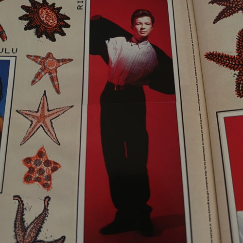 Panini album Smash Hits 1988 used, complete with poster