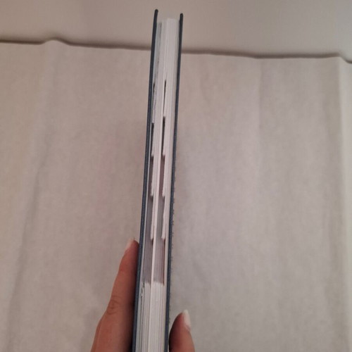 Daily diaries pack of 3 with hardcover like new
