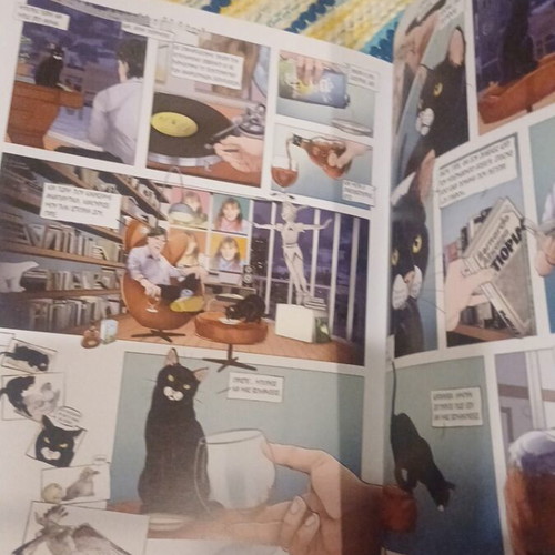 The Story of the Cat Who Learned to Fly Graphic Novel like new