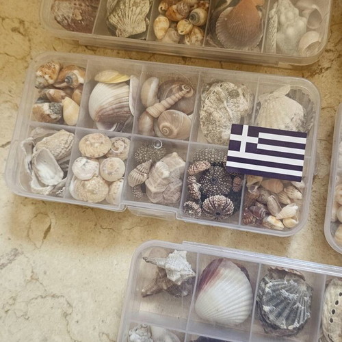 Mini shells, set of 5 gift boxes