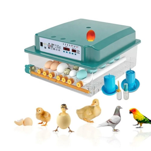 Automatic Egg Incubator with LCD Screen and Dual Power Supply