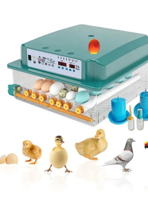 Automatic Egg Incubator with LCD Screen and Dual Power Supply