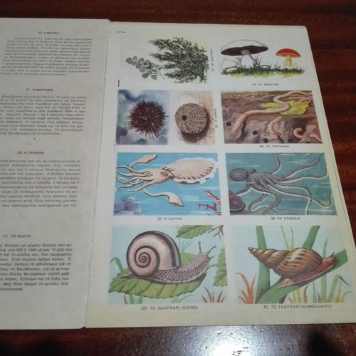 Grade D Sticker Album used, natural history