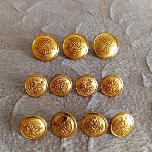 Set of gold buttons, 3 large and 8 small