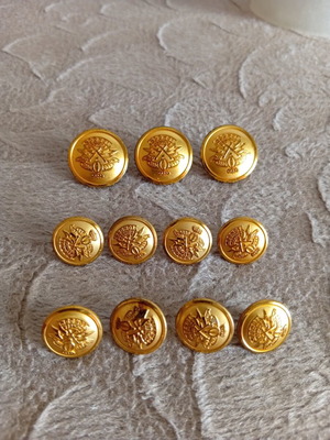 Set of gold buttons, 3 large and 8 small
