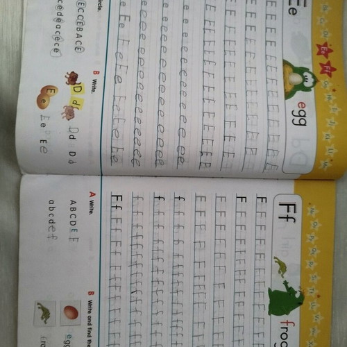 Fun With Fizz Alphabet & Starter Book used