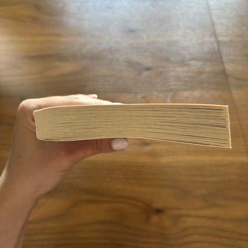 We’ll Always Have Summer book like new, English