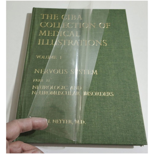 The Ciba Collection of Medical Illustrations like new, Nervous system, Netter
