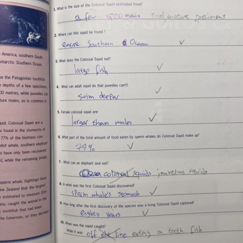 Succeed in City and Guilds book used for Proficiency level