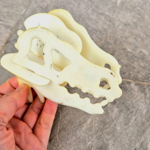 De Agostini dinosaur replacement head used