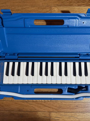 Hohner Student 32 melodica with case and mouthpiece