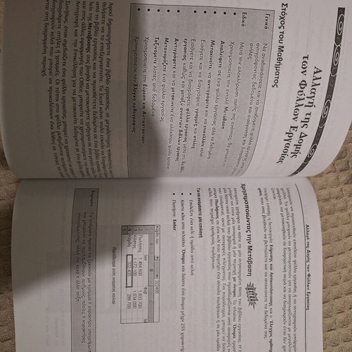 ECDL Excel 2000 Spreadsheets like new, B. Giourdas editions with CD
